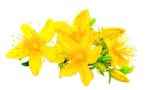 051536ea3409d7fd976ed1c5c96b3b65 jpg jpeg