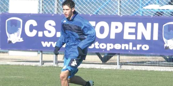 stelea