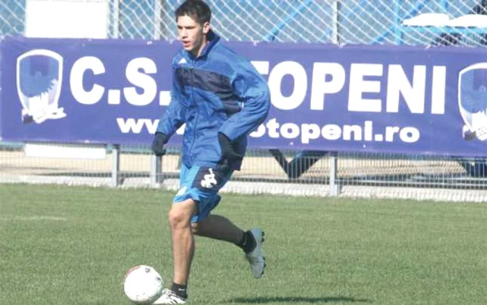 Stelea jr.