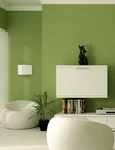 combinaţii de culori pentru pereţi interiori jpeg