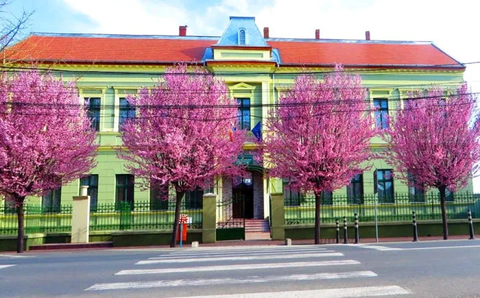 Liceul Tehnologic „Cristofor Nako”, printre cele cu rată de 100% absenți FOTO: site liceu