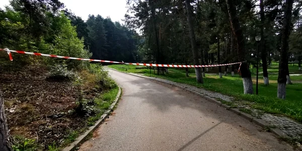 Parcul Bradet din Petroșani  Foto Daniel Guță jpg