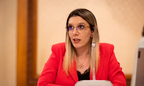 diana buzoianu Foto FB jpg