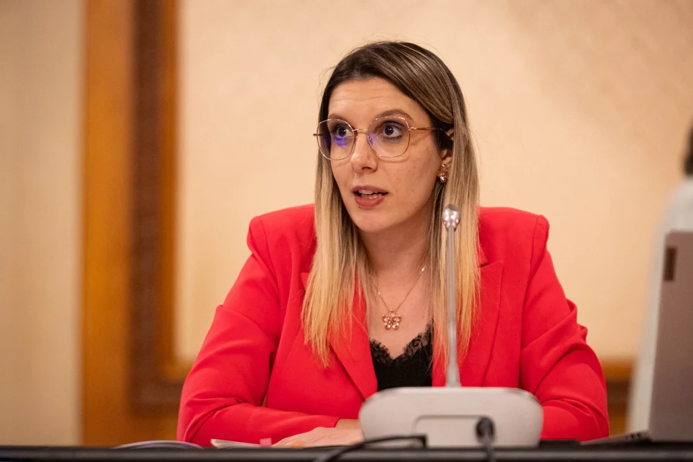 Ce se întâmplă cu „Rabla Auto” și „Baterii pentru fotovoltaice”. Diana Buzoianu: „Dorim să lansăm un program care să includă și elemente noi”