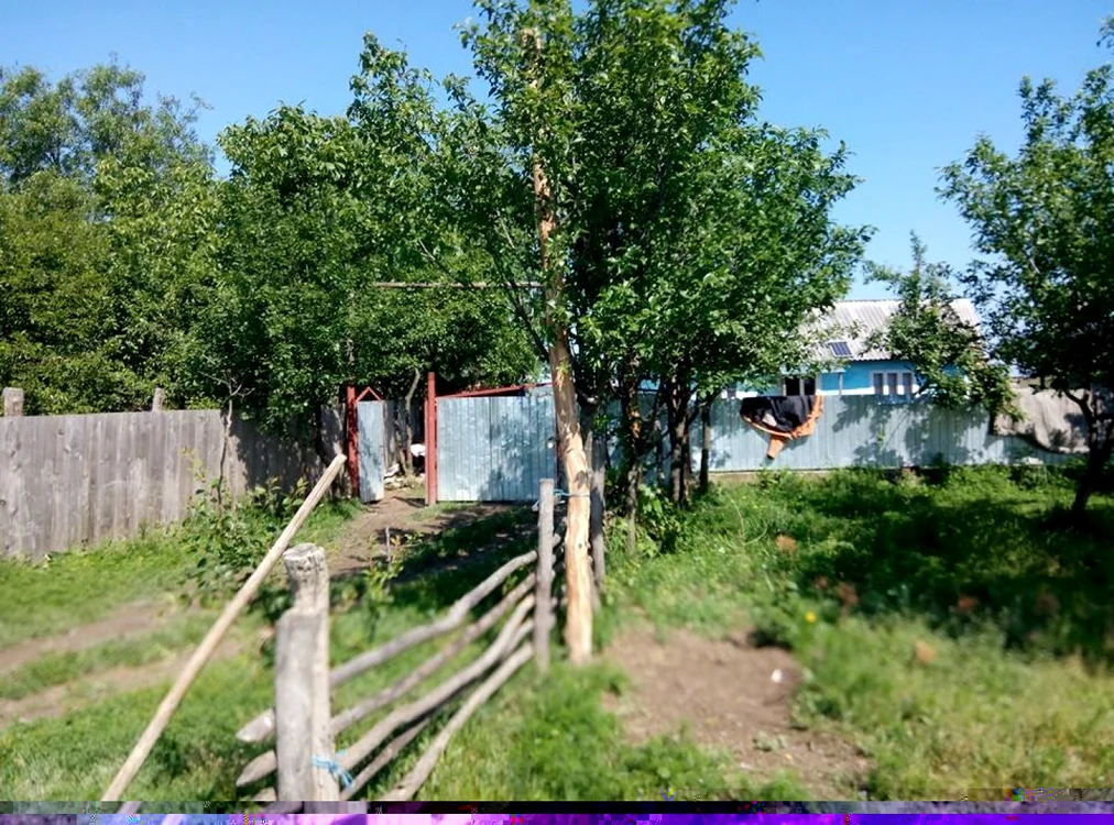 Gospodăria lui Dorel Huţanu, unul dintre localnici FOTO Dănuţ Zuzeac