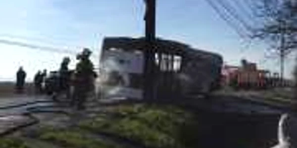 autobuz ars