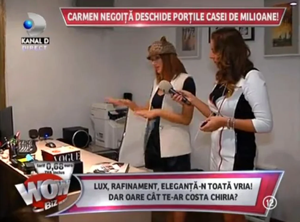 Ca orice femeie de afaceri care se respectă, doamna Negoiţă are un birou aşa cum trebuie (captură: Kanal D)