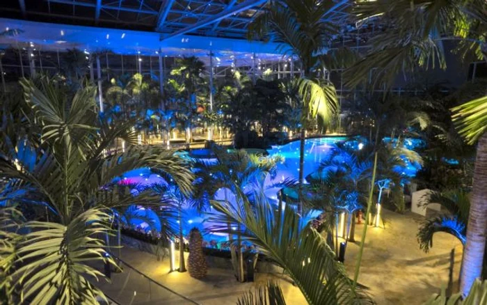 
    Bodyguarzii au umilit mai multe familii de romiFoto: adevarul.ro  