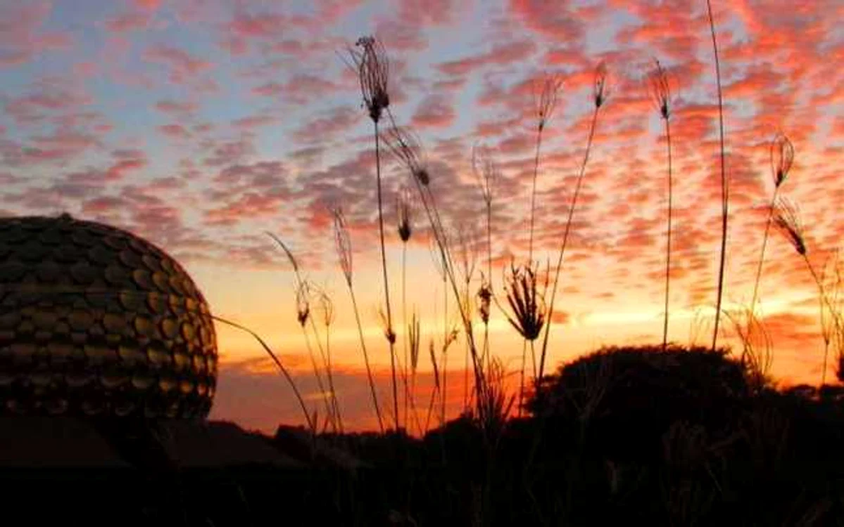 auroville india foto auroville org