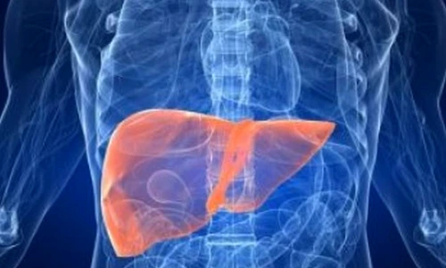 1 69706 original jpg jpeg