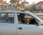 caine masina Alba Iulia