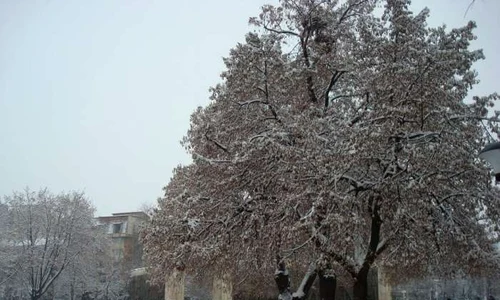 Turnu Măgurele, acoperit de zăpadă  (Sursa foto: Facebook) jpeg