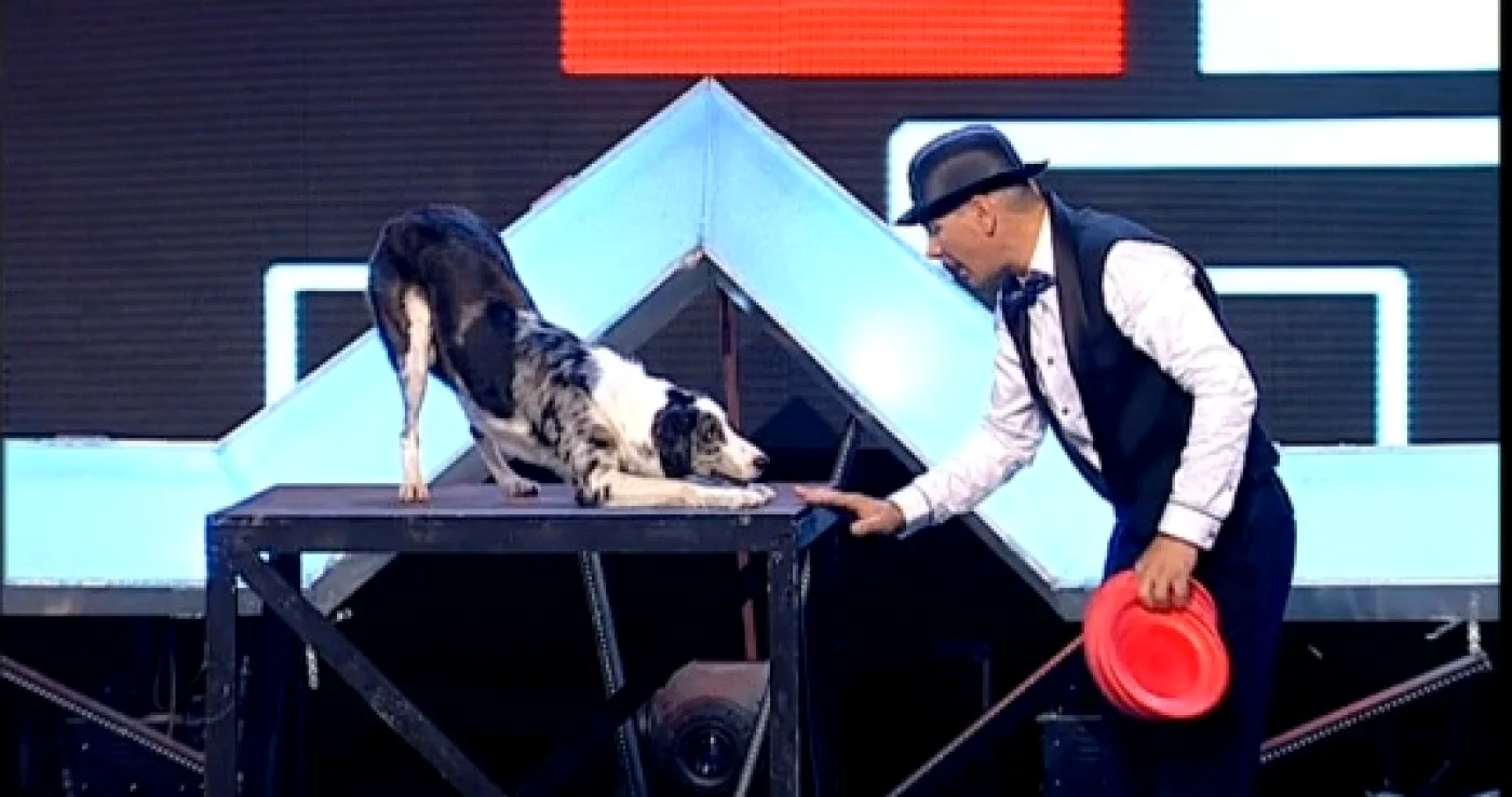 Numărul lui Bruno Iacobeţ i-a cucerit pe cei trei juraţi  FOTO Captură de ecran PRO TV