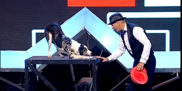 Romanii au talent FOTO Captura de ecran PRO TV