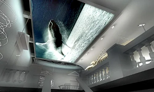 Muzeul Antipa îşi va redeschide porţile pe 15 iulie jpeg