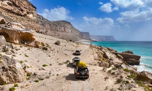 Insula Socotra, Yemen FOTO Shutterstock 