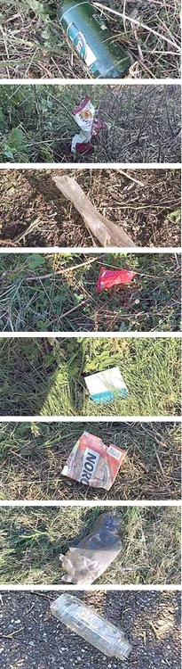 Primăriţa a postat  pe Internet pozele  cu mizeria din sat