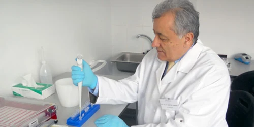 Profesorul Constantin Leonte coordonează munca în laboratorul din Iaşi