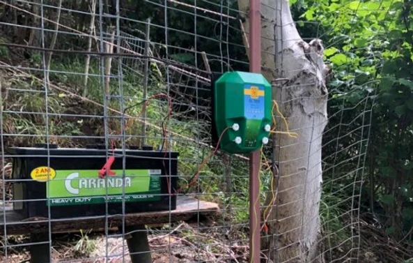 Locuitorii din Râșnov vor fi protejați de urși prin garduri electrice FOTO: Newsbv.ro