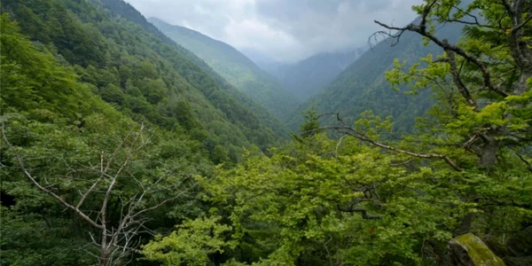 Munţii Făgăraş deţin „cea mai sălbatică vale a Europei” în Vâlcea - Valea Boia Mică Foto Agent Green - credit Matthias Schickhofer - Euro Natur