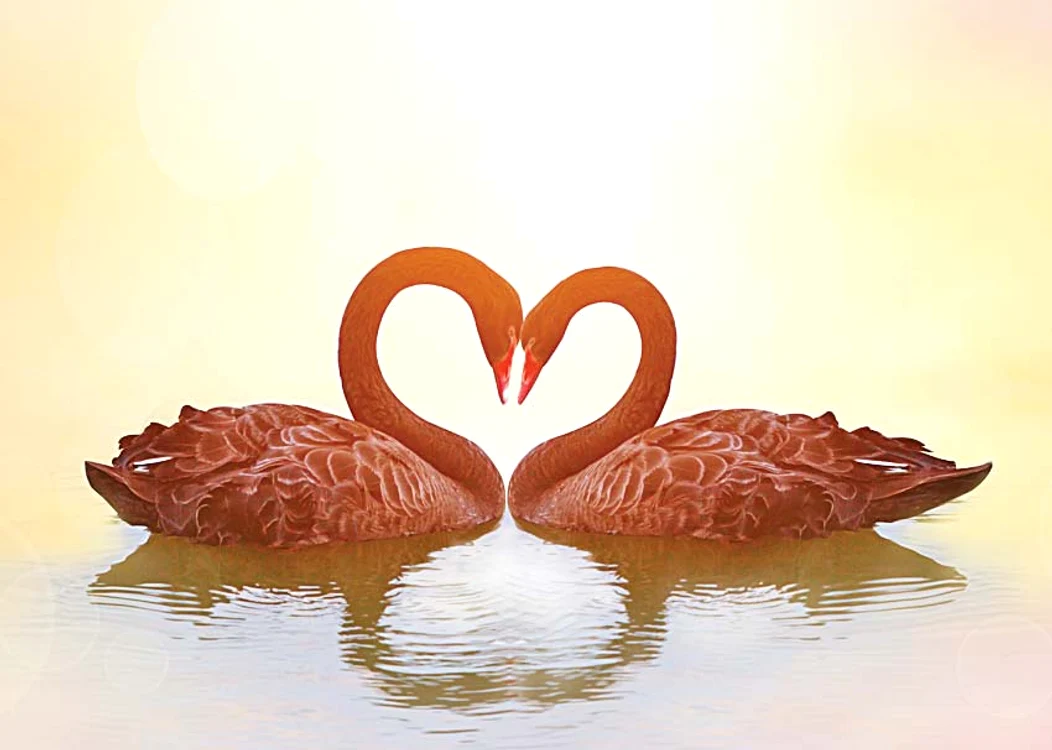 O inimă la apus de soare,  ce poate fi mai romantic?!