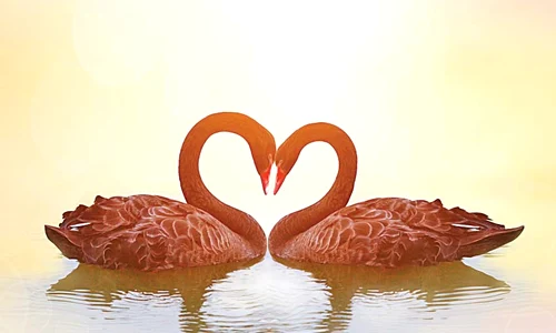 O inimă la apus de soare,  ce poate fi mai romantic?! jpeg