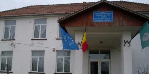 scoala viile satu mare