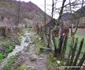Runcu Mare Foto Daniel Guță ADEVĂRUL (30) jpg