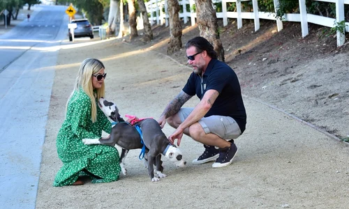 2 profimedia 0580842998 jpg jpeg