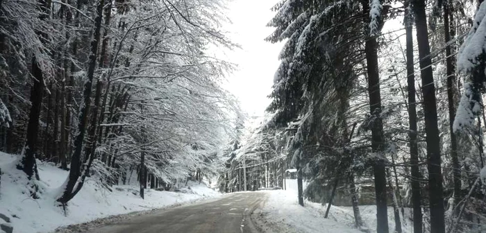 ANM a anunţat că precipitaţiile sunt aşteptate după data de 8 decembrie