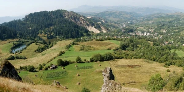 rosia montana