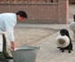 Câinii poliţişti din China îşi aşteaptă rândul la masă  jpeg