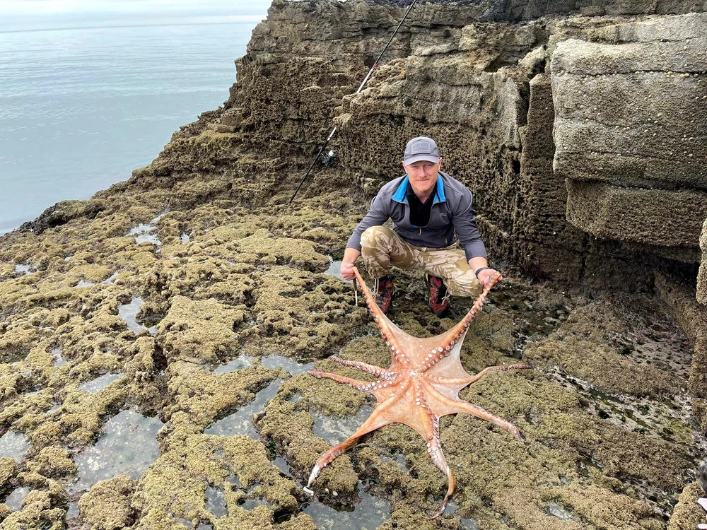 Profesorul Ziggy Austin prezentând caracatița gigantică găsită pe o plaja din Torquay