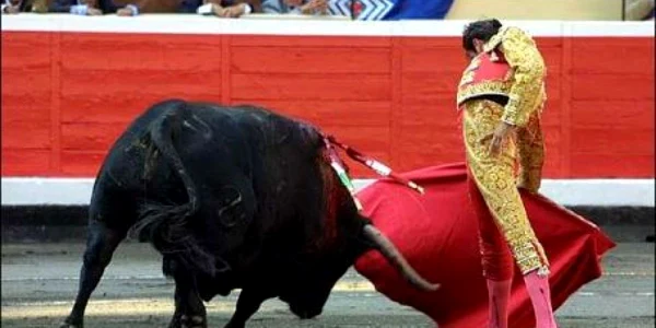 Corida face parte din fibra naţională a spaniolilor