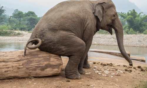 1 shutterstock 279535688 jpg jpeg