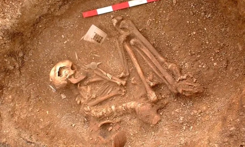 Zeci de schelete umane, descoperite de un arheolog orădean într un sat dispărut în secolul XVII jpeg