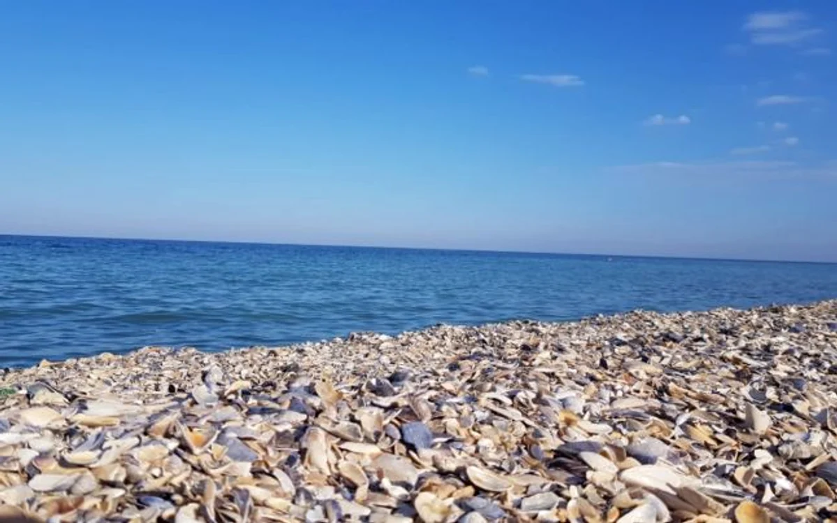 plaja salbatica vama veche foto diana frincu