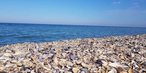 plaja salbatica vama veche foto diana frincu