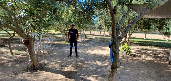 Cel mai mare crescător de măsline din Malta