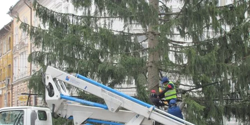 Bradul va fi bine luminat