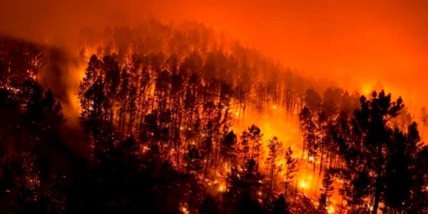 padure incendiu FOTO blacknews.ro