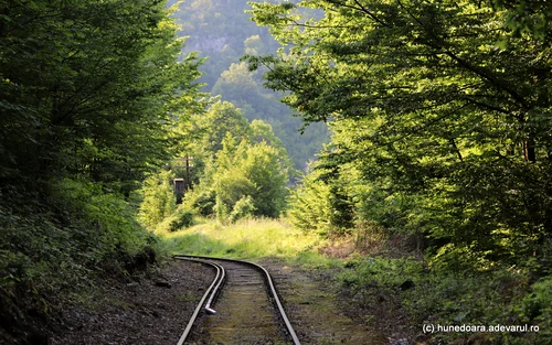 Orașul Anina Foto Daniel Guță ADEVĂRUL (85) JPG