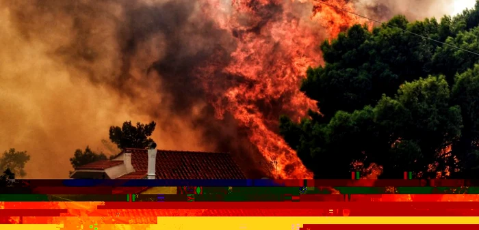 Incendii devastatoare în Grecia cel puţin 50 de oameni şi-au pierdut viaţa FOTO AFP