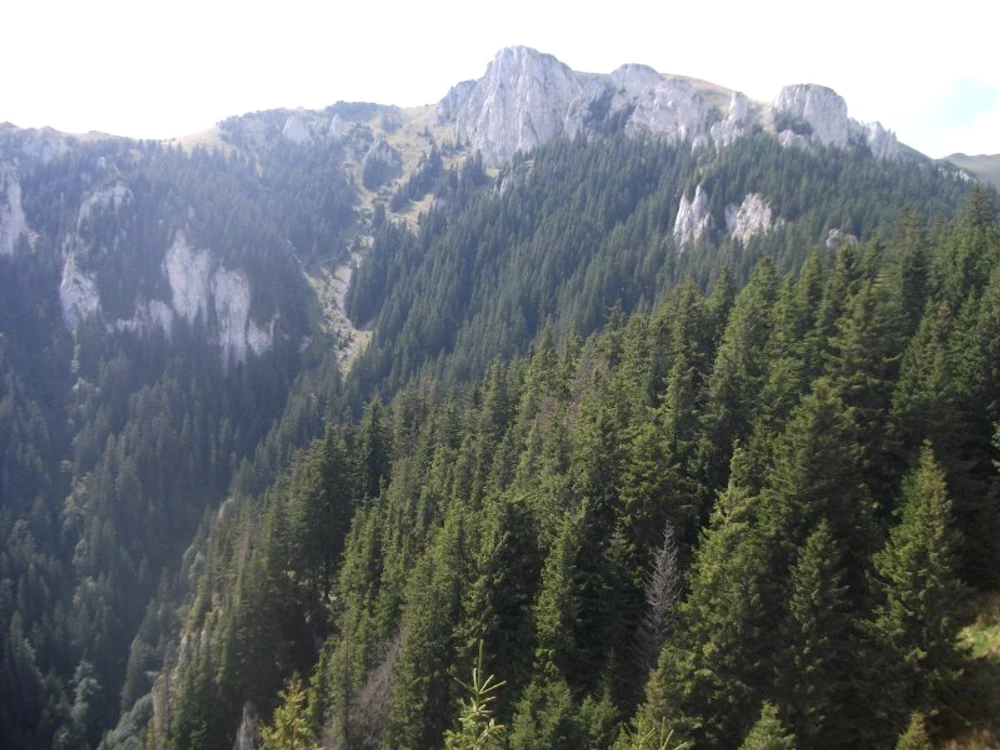 
    Bătrânii s-au pierdut pe un traseu în Masivul Piatra Mare  
