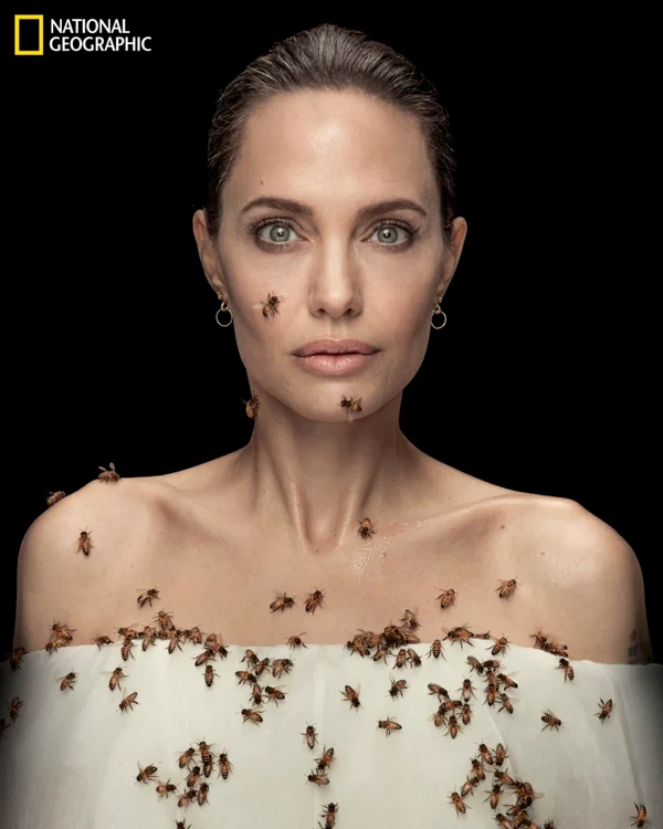 Angelina Jolie FOTO: Angelina Jolie / Facebook