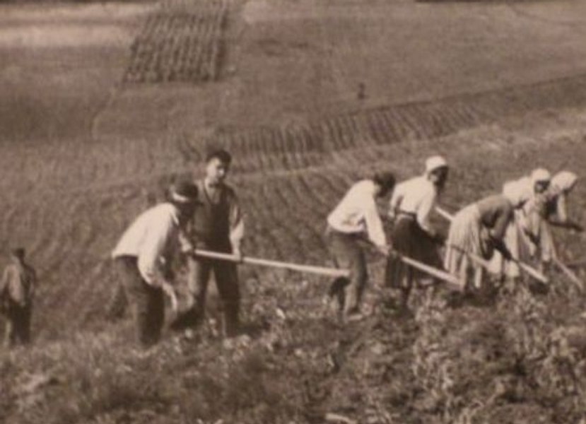 Locul din România unde țăranii s-au răsculat primii împotriva regimului comunist. Ce a aprins scânteia revoltelor