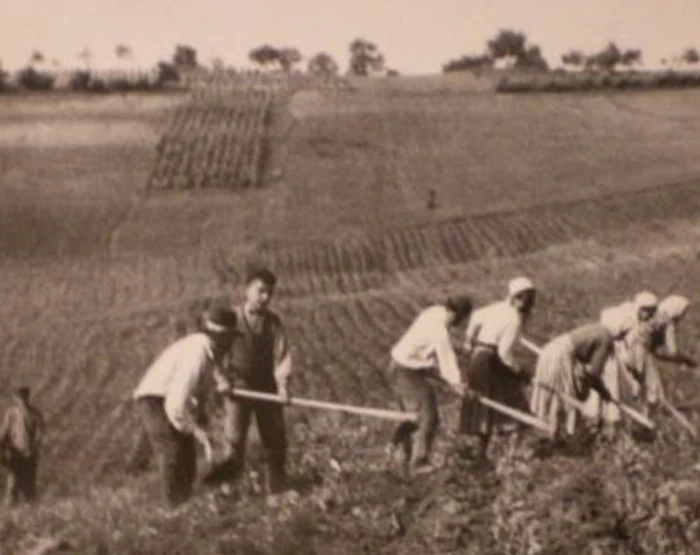 După colectivizarea agriculturii s-a trecut la confiscarea proprietăților FOTO historia.ro