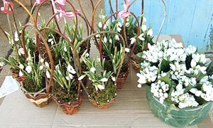 CLIIMA20140114 0118 1 jpeg