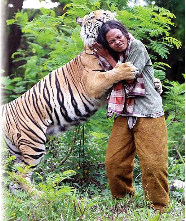 Abdullah Sholeh se joacă toată ziua cu tigresa Mulan