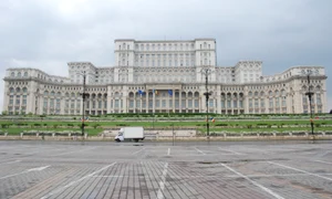 Politică şi reflexe democratice jpeg